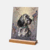 Setter anglais (Angle)