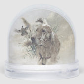 Setter anglais (Arrière)