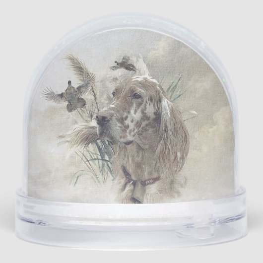 Setter anglais (Arrière)