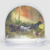 Setter anglais (Arrière)