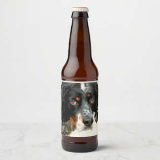 Setter Brew Bier Etiket