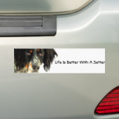 Setter Bumpersticker (Op auto)