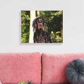 Setter Gordon mouillé toile enveloppée (Insitu(Salon))