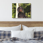 Setter Gordon mouillé toile enveloppée (Insitu(Chambre))