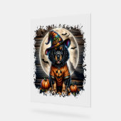 Setter-hond Halloween-vierkant Acryl Bord (Hoek)