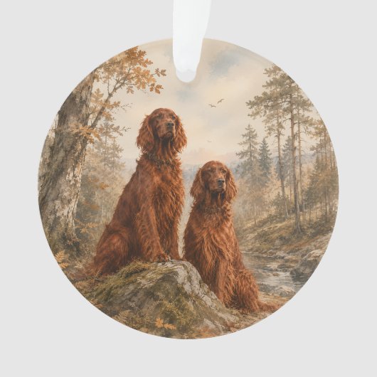 Setter irlandais (devant)