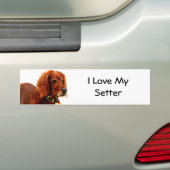 Setter Liefde Bumpersticker (Op auto)