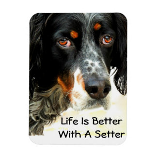Setter Liefde Fotomagneet Magneet