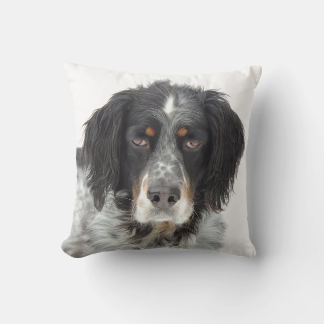Setter Love Pillow Kussen (Voorkant)