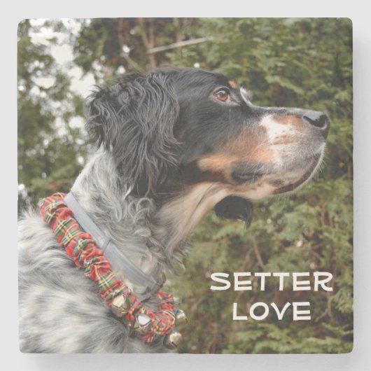 Setter Love Stenen Onderzetter (Voorkant)