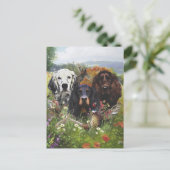 Setters Family Briefkaart (Staand voorkant)