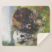 Setters Family Sherpa Deken (Voorkant (horizontaal))