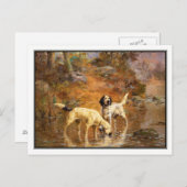 Setters in a Cooling Stream by Percival Rosseau Briefkaart (Voorkant / Achterkant)