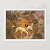 Setters in a Cooling Stream by Percival Rosseau Briefkaart (Voorkant)
