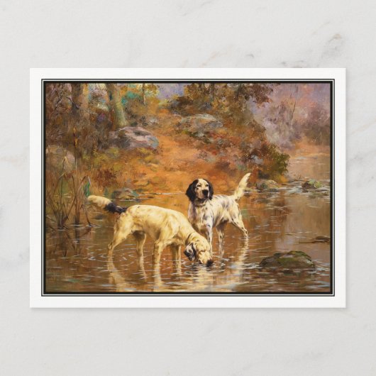 Setters in a Cooling Stream by Percival Rosseau Briefkaart (Voorkant)