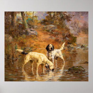 Setters in a Cooling Stream by Percival Rosseau Poster