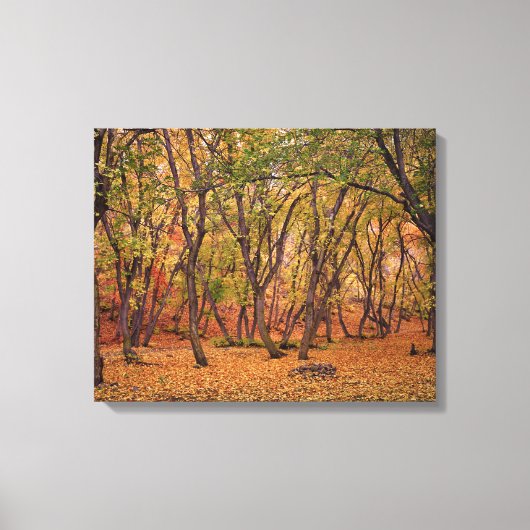 Settlement Canyon Canvas Afdruk (Voorkant)