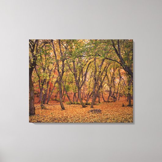 Settlement Canyon Canvas Afdruk (Voorkant)