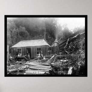 Settler Homestead in Nieuw-Zeeland 1906 Poster