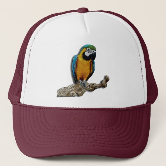 Seul casquette de perroquet orange (Devant)