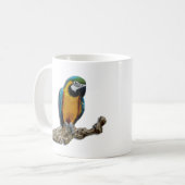 Seule tasse de perroquet orange (Devant gauche)