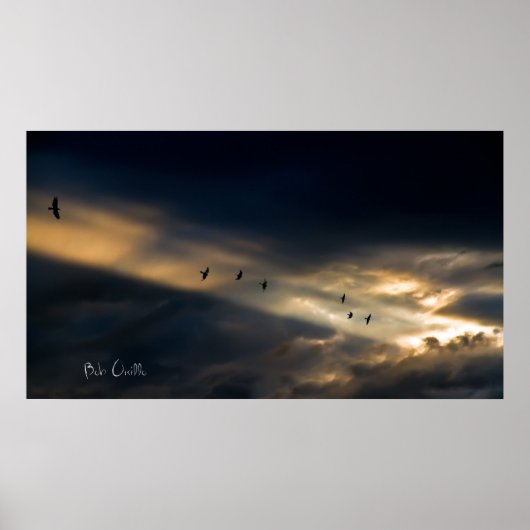 Seven Bird Vision, Bob Orsillo Poster (Voorkant)