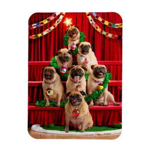 Seven Pugs-a-Posing Magneet