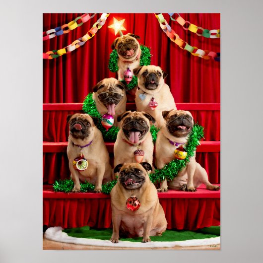 Seven Pugs-a-Posing Poster (Voorkant)