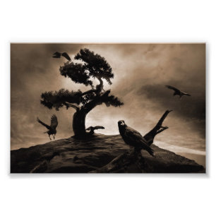 Seven Ravens Foto Afdruk