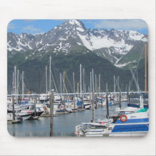 Seward Harbour, Alaska Muismat