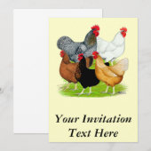 Sex-linked kippen Quintet Kaart (Voorkant / Achterkant)