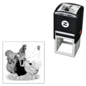 Sex-linked kippen Quintet Zelfinktende Stempel (In situ)