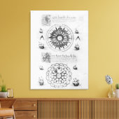 Sextant Canvas Afdruk (Insitu (Woonkamer))