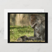 Sexy Silverback Gorilla Briefkaart (Voorkant / Achterkant)