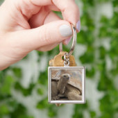 Seychelle Aldabran landschildpad Sleutelhanger (Hand)