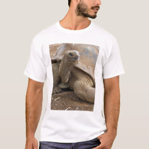 Seychelle Aldabran landschildpad T-shirt