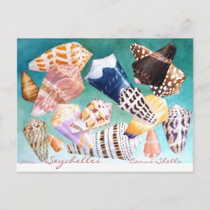 Seychellen Conus Shells Briefkaart