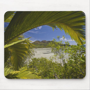 Seychellen, Curieuse eiland, Laraie baai Muismat