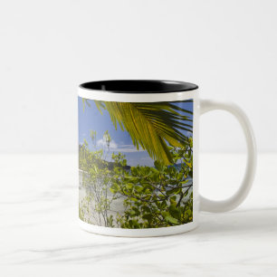 Seychellen, Curieuse eiland, Laraie baai Tweekleurige Koffiemok