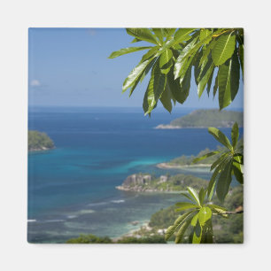 Seychellen, eiland Mahé. Westkust van Magneet