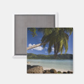 Seychellen, Mahe eiland, Anse a la Mouche Magneet (Voorkant / Achterkant)