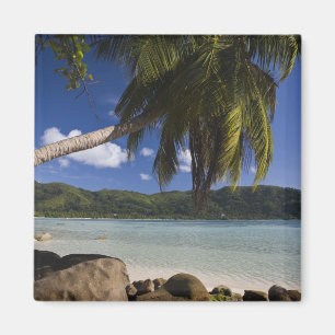 Seychellen, Mahe eiland, Anse a la Mouche Magneet