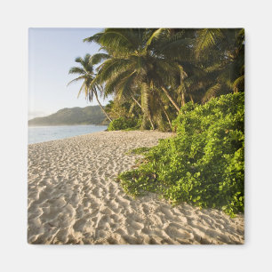 Seychellen, Mahe eiland, Anse Marie-Louise Magneet