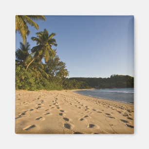 Seychellen, Mahe eiland, Anse Takamaka strand, 2 Magneet