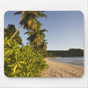 Seychellen, Mahe eiland, Anse Takamaka strand, Muismat