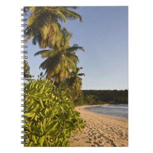 Seychellen, Mahe eiland, Anse Takamaka strand, Notitieboek