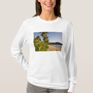 Seychellen, Mahe Island, strand van Anse Takamaka, T-shirt