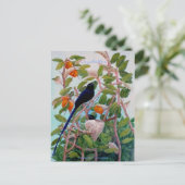 Seychellen Paradise Flycatcher Briefkaart (Staand voorkant)