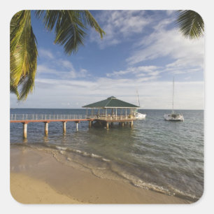 Seychellen, Praslin, Anse Bois de Roos, Vierkante Sticker
