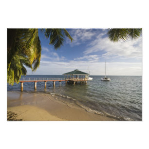 Seychellen, Praslin-eiland, Anse Bois de Rose, Foto Afdruk